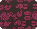 A black and pink RASPBERRY fabric with flowers on it.