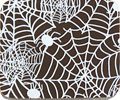 A coaster with SPIDER WEB WHITE 10″ X 11″ on it.