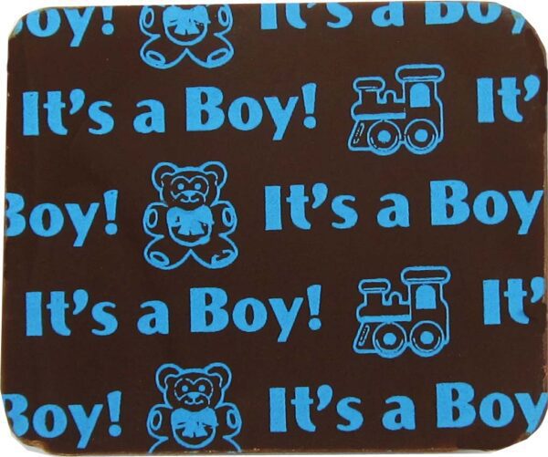 It's a boy teddy bear coaster.